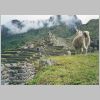 29-machu-picchu.html