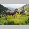 008-Sumbilla.html