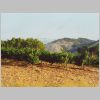 030-Near-Estella.html