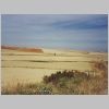037-Vianna-Logrono.html