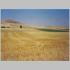 104-Granon.html
