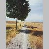 129-The-Meseta.html